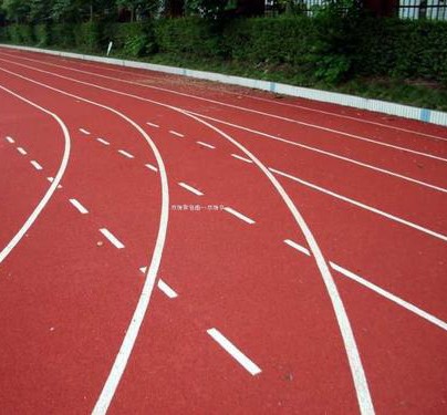  21岁小将安东尼闪耀赛场，6秒41摘得室内世锦赛60米金牌；K-汤普森屈居亚军。 体育新闻 21岁小将安东尼闪耀赛场，6秒41摘得室内世锦赛60米金牌；K-汤普森屈居亚军。 体育新闻