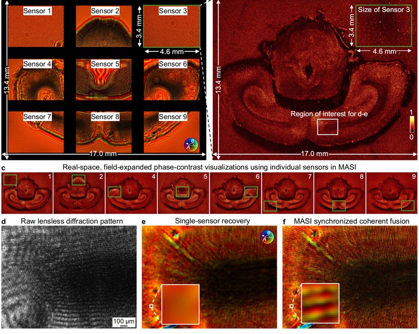  【黑洞拍摄灵感】华人科研团队重构微观视界成像方案 新闻