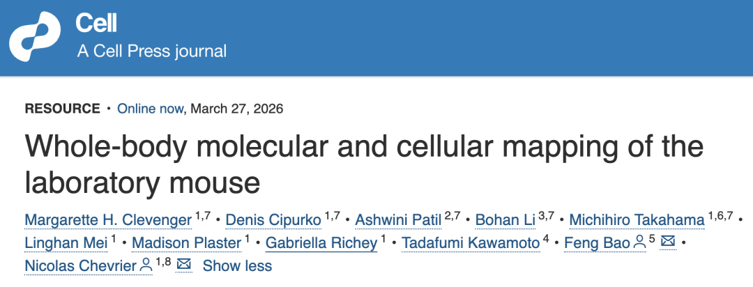  科研界潜藏的“全景地图”：解密小鼠全身分子图谱的底层逻辑 IT技术