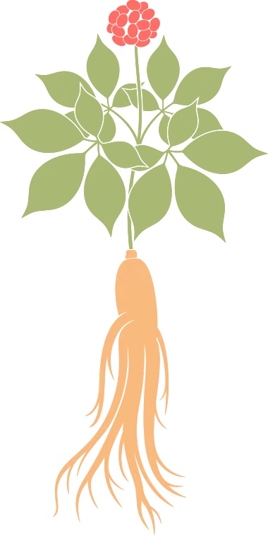  话剧舞台的味蕾觉醒：曾黎如何通过《寻味》重塑两岸温情记忆？ 文化旅游