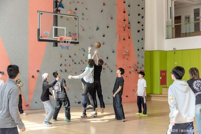  跨洋教育协作的技术底层：从一次中美校际访问看国际交流的标准化实践 教育招生