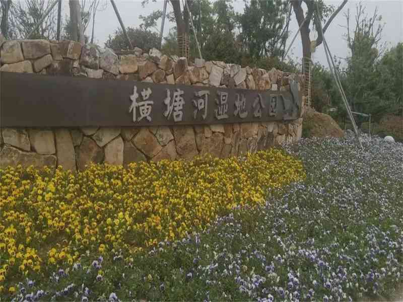  【深度测评】青龙板块低密精装现房：阳光城禹洲·宸悦居住价值全解析 房产家居