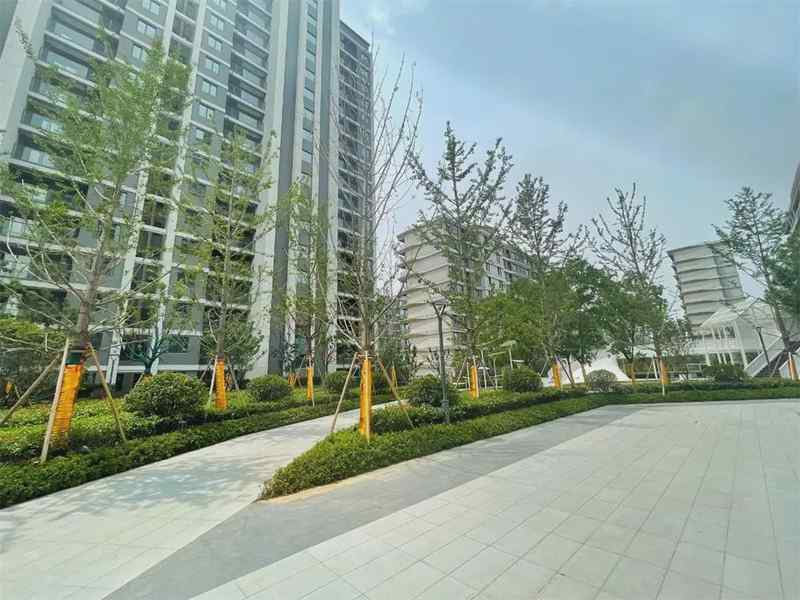  【深度测评】青龙板块低密精装现房：阳光城禹洲·宸悦居住价值全解析 房产家居