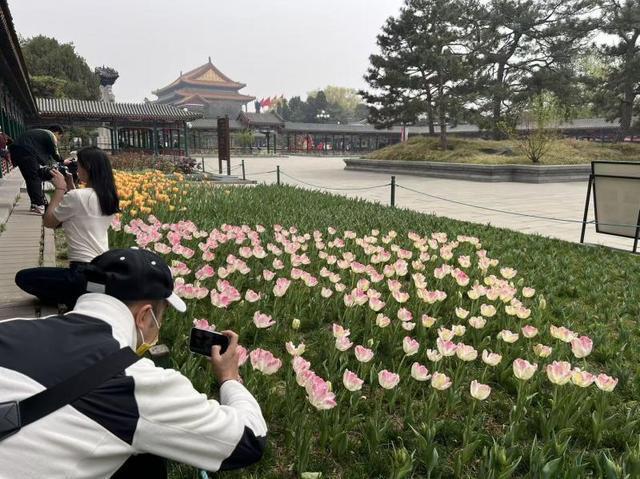 数据解码2026春假试点：三大维度透视文旅消费结构性变革