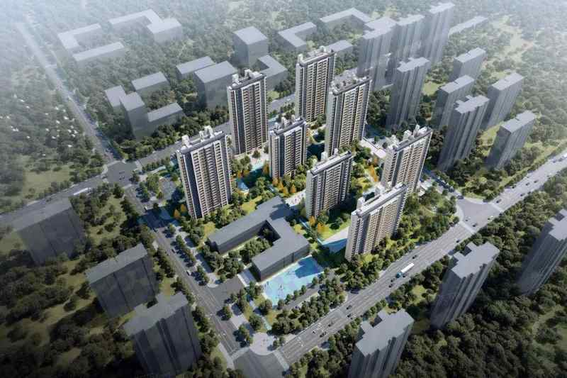  教育焦虑时代：一位父亲的选房复盘，揭示胶州教育盘的硬核逻辑 房产家居