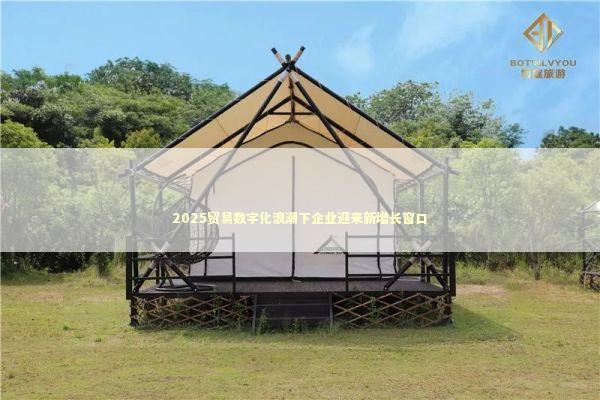 2025贸易数字化浪潮下企业迎来新增长窗口