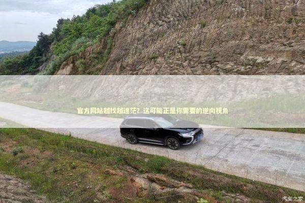 官方网站越找越迷茫？这可能正是你需要的逆向视角 IT技术