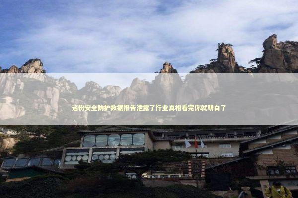 这份安全防护数据报告泄露了行业真相看完你就明白了 IT技术