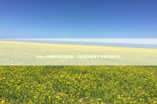 Issue处理效率低到离谱？可能是你根本不会用这套方法 IT技术