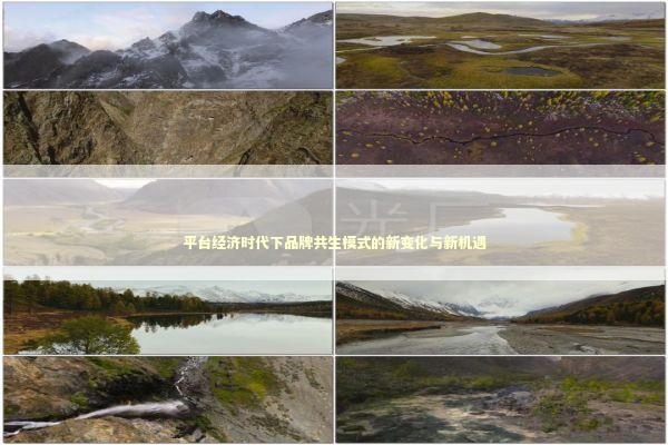 平台经济时代下品牌共生模式的新变化与新机遇 新闻